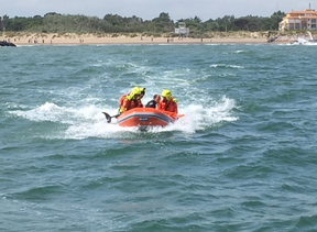 https://www.grainesdesauveteurs.com/au-secours-dun-dauphin/
