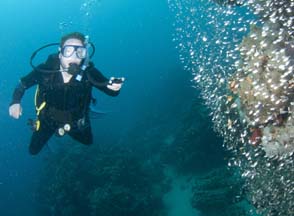 https://www.grainesdesauveteurs.com/la-plongee-sous-marine/