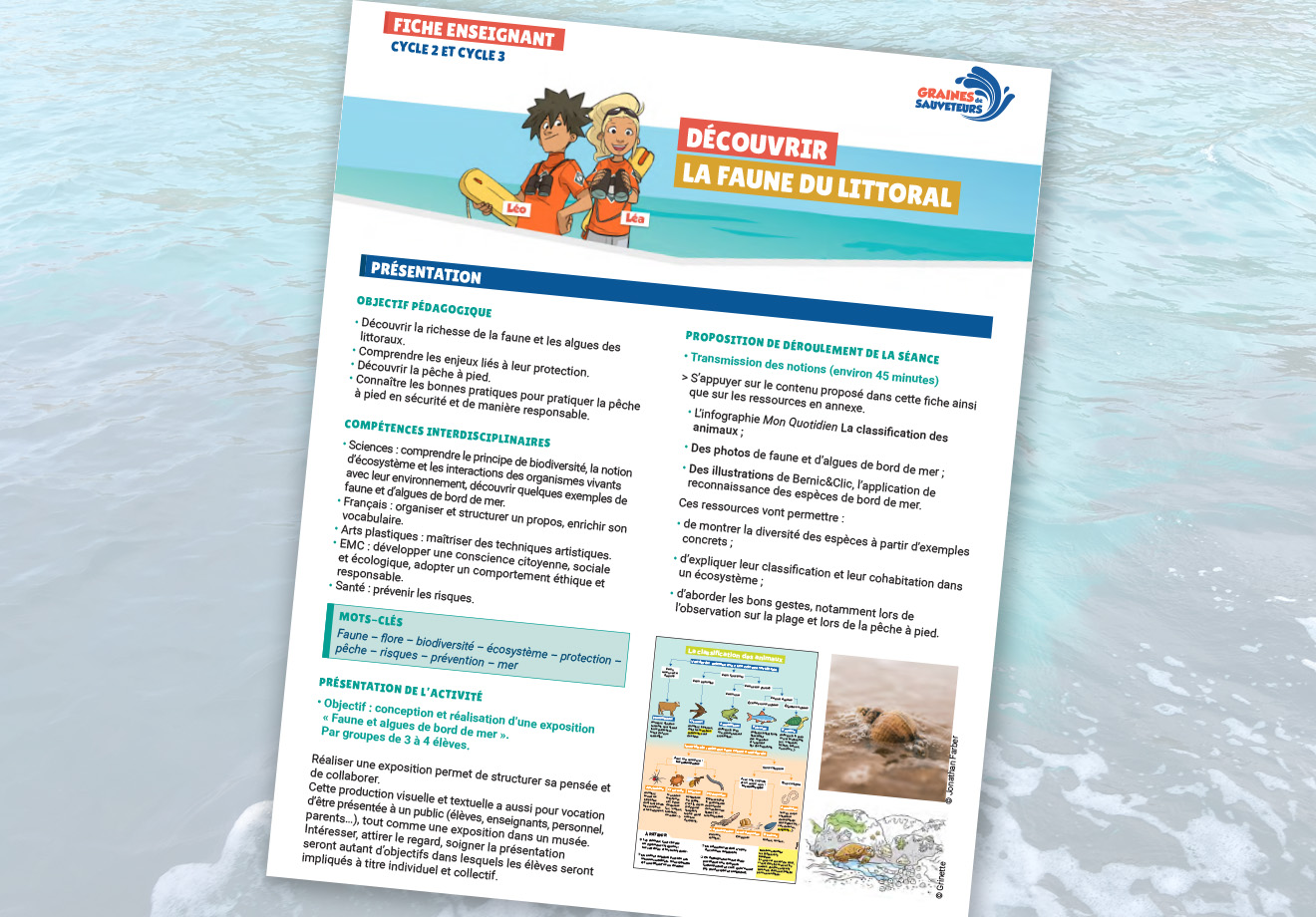 https://www.grainesdesauveteurs.com/faune-et-algues-du-littoral-enseignants/