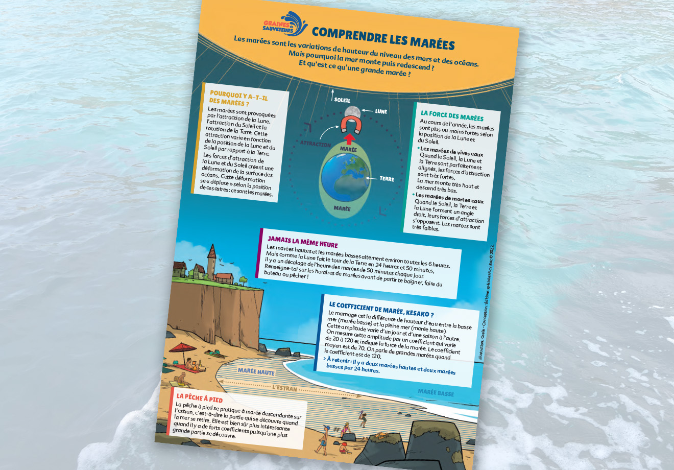https://www.grainesdesauveteurs.com/comprendre-les-marees-infographie/