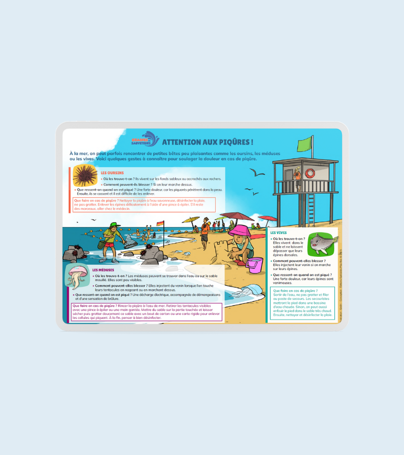 https://www.grainesdesauveteurs.com/attention-aux-piqures-infographie/